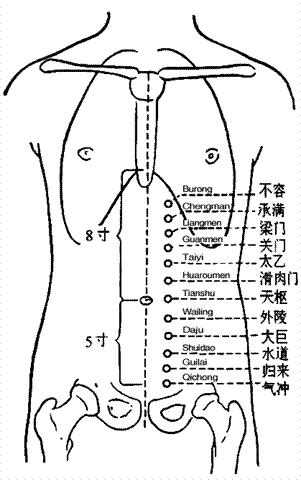 前部穴位