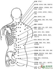 人體背部穴位 人體背部穴位