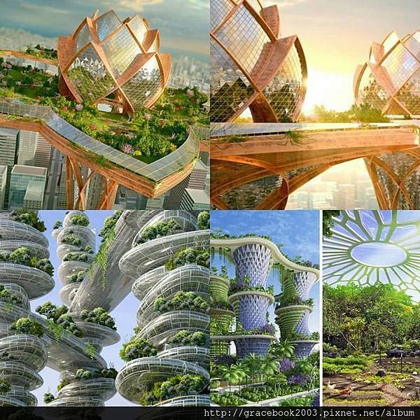 新型綠建築 新型綠建築