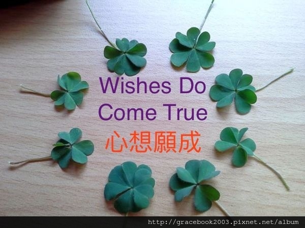 wishes do come true.jpg