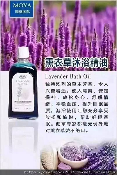 薰衣草.jpg