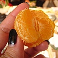 樹上的橘子原來可以吃