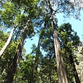 還在登山步道內