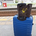 在火車站搭火車前往左營高鐵站，注意，本人出發時就這兩只行李外加一隨身包。