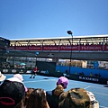 Andy Murray練習，傳出將是最後一場澳網行後，圍觀的粉絲人山人海