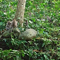 DSC06087.JPG