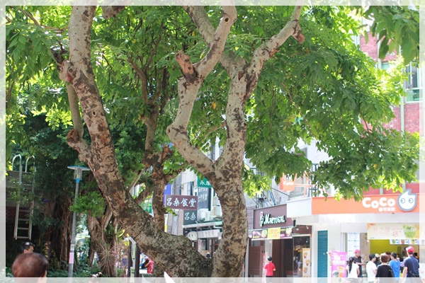 呂桑食堂。位在永康街的宜蘭好味道 (1).JPG 呂桑食堂。位在永康街的宜蘭好味道 (1).JPG