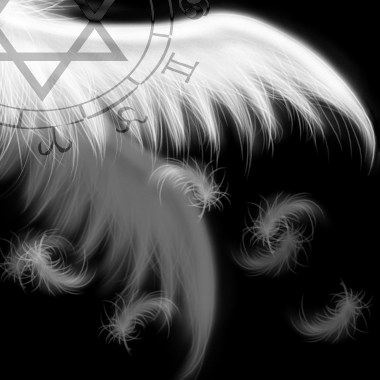 feather.bmp feather.bmp