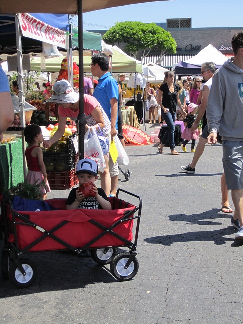 IMG_1543small IMG_1543small