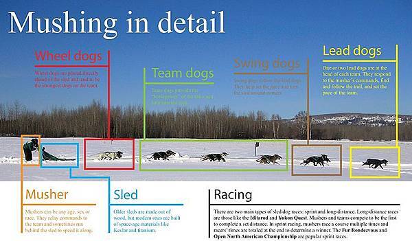 800px-Mushing_graphicx 800px-Mushing_graphicx