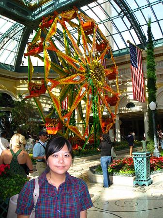 IMG_2892small.jpg IMG_2892small.jpg
