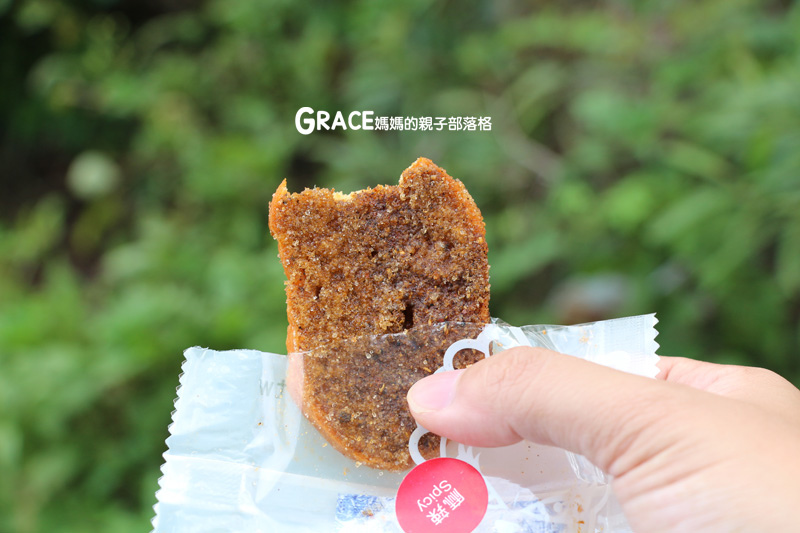 DoGa香酥脆椒-台南名產-零嘴美食推薦-辣椒零食-野餐必備大人點心-宅配訂購-台南安平路景點get-純手工點心-雙截棍兔子好可愛-grace媽  (7).jpg