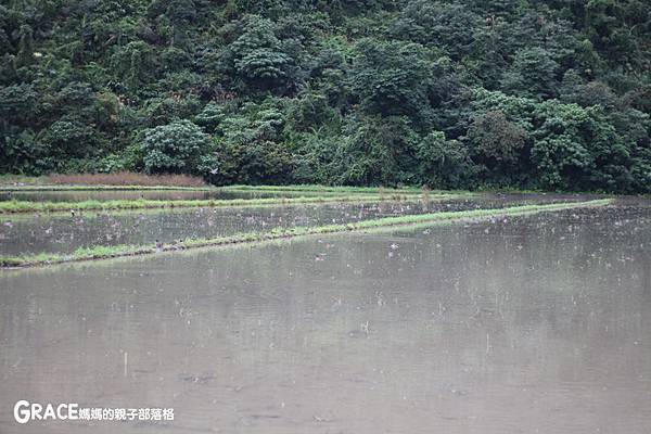 北部親子景點宜蘭-橫山頭休閒農業區-舊名蓮成觀光休閒農場-新名內城生態園區-大自然教室-DIY芋泥球-戶外野炊-網抓七彩魚-grace媽媽 (5).jpg