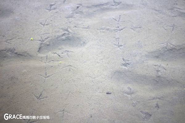 北部親子景點宜蘭-橫山頭休閒農業區-舊名蓮成觀光休閒農場-新名內城生態園區-大自然教室-DIY芋泥球-戶外野炊-網抓七彩魚-grace媽媽 (16).jpg