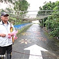 北部親子景點宜蘭-橫山頭休閒農業區-橫山頭農村再生2日遊-太陽埤果園看風景-香草菲菲-果園採金棗- DIY作金棗蜜餞-吃飯太陽湖畔咖啡館小火鍋-grace媽媽 (27).jpg