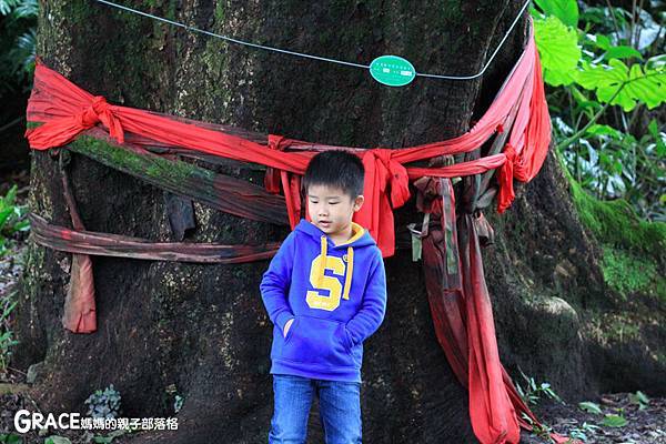 北部親子景點宜蘭-橫山頭休閒農業區-橫山頭農村再生2日遊-鐵牛力阿卡-宜蘭內城社區-環保袋DIY-鐵牛車筆筒DIY-grace媽媽 (49).jpg