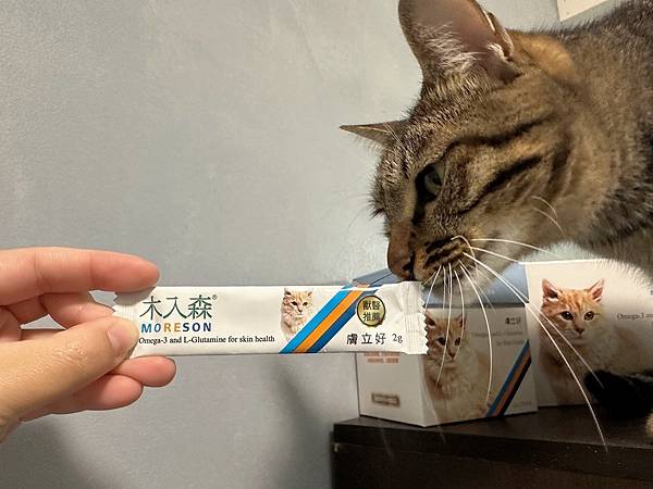 喵の保養日記🐾 木入森貓咪膚立好｜貓咪皮膚全方位營養補充～天