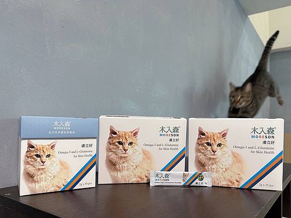 喵の保養日記🐾 木入森貓咪膚立好｜貓咪皮膚全方位營養補充～天