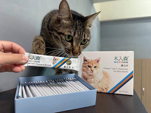 喵の保養日記🐾 木入森貓咪膚立好｜貓咪皮膚全方位營養補充～天