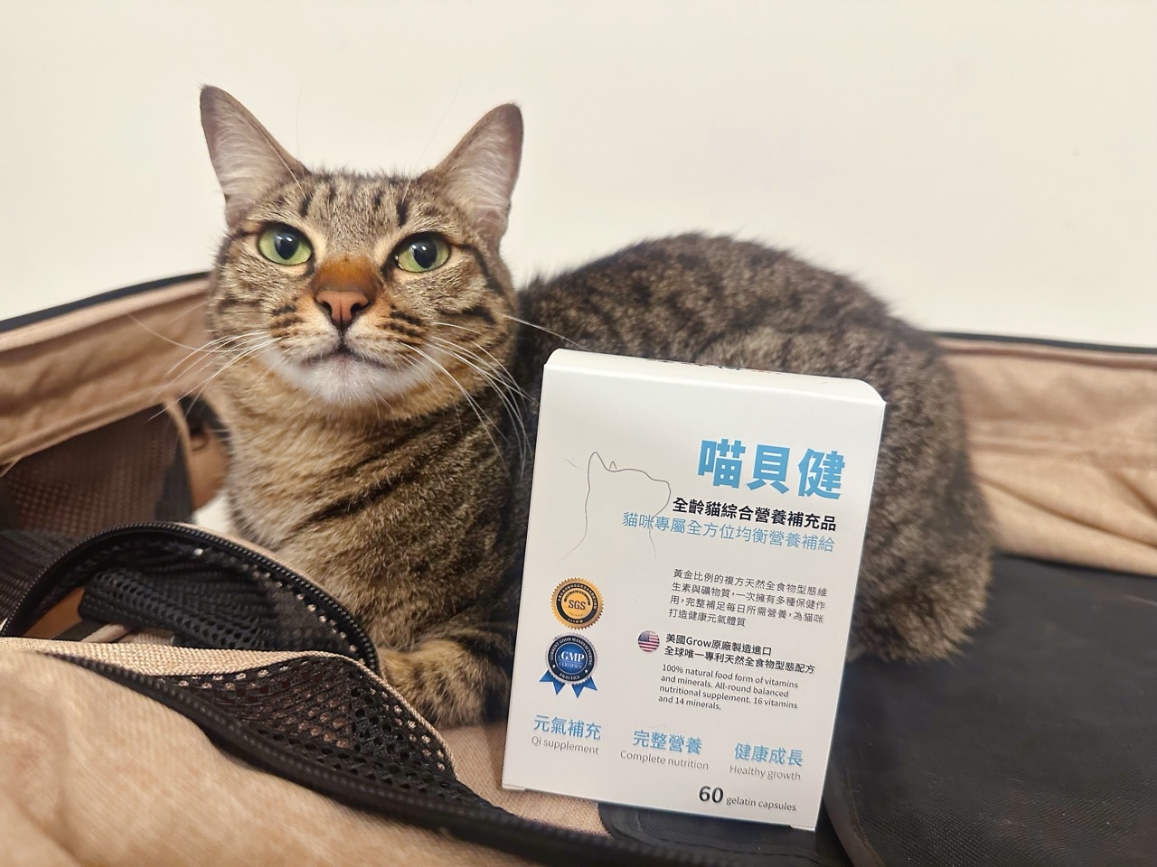 【汪咪博士】綜合營養補充品│喵貝健🐱✨寶貝貓咪健康升級so 