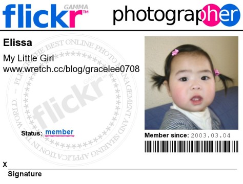 Flickr Toys-ID