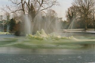 公園-冬景