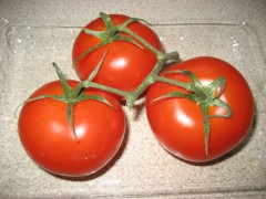 Tomato