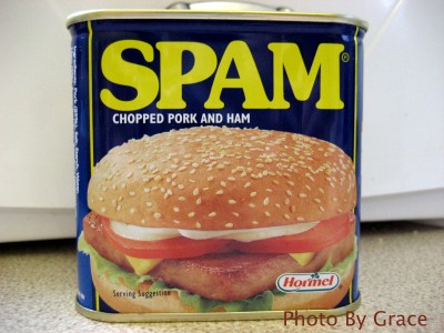 SPAM 外觀