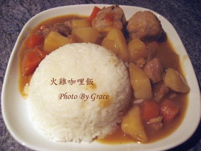 火雞咖哩飯(二)