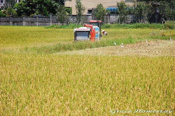 宜蘭民宿葛瑞絲羅東運動公園旁的民宿