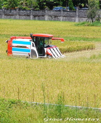 宜蘭民宿葛瑞絲羅東運動公園旁的民宿