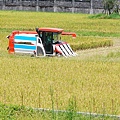 宜蘭民宿葛瑞絲羅東運動公園旁的民宿