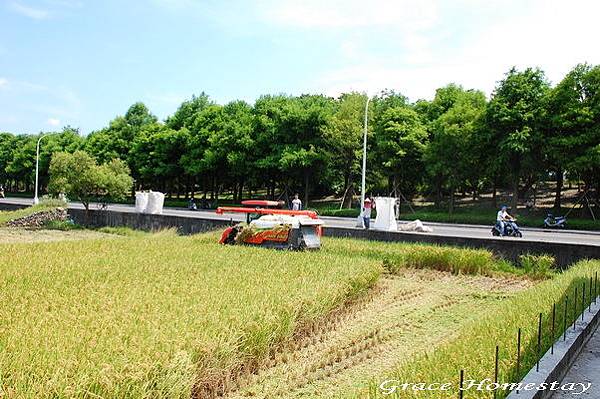 宜蘭民宿葛瑞絲羅東運動公園旁的民宿