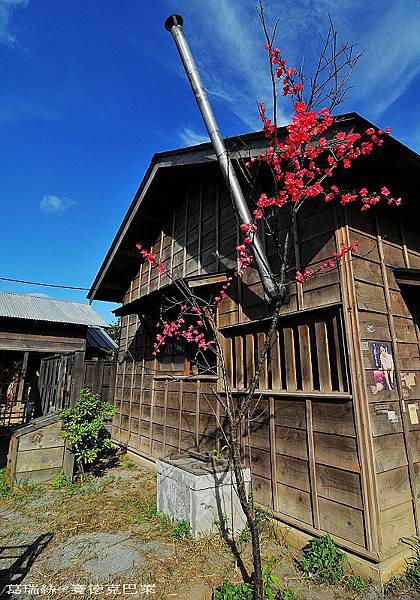 賽德克巴萊 Seediq Bale ~Grace@林口霧社村~