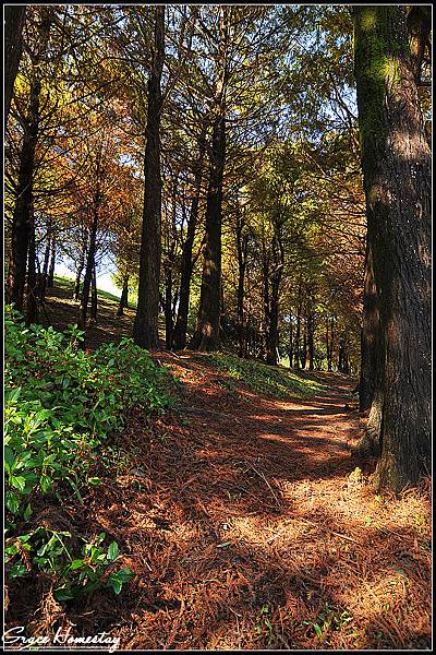 2011.12.28羅東運動公園~我是宜蘭民宿葛瑞絲