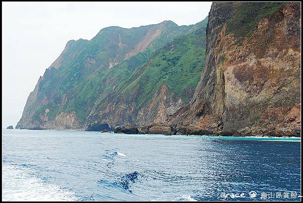 鯨豔奇航~龜山島賞鯨豚~我是宜蘭民宿葛瑞絲~