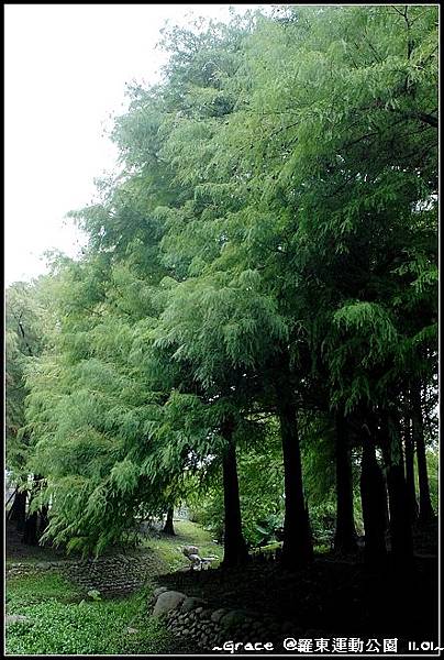 宜蘭羅東運動公園2012.11.01宜蘭民宿葛瑞絲