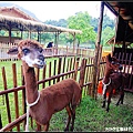 2013宜蘭綠色博覽會~我是宜蘭民宿羅東民宿葛瑞絲~