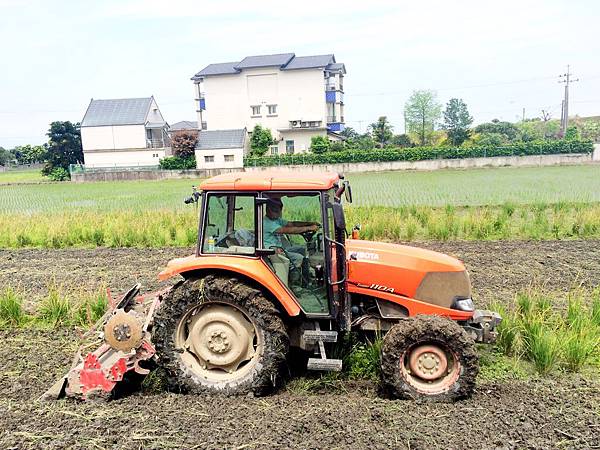 宜蘭在地農產品 柯林農業有機安農米 等