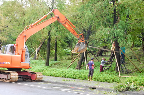 宜蘭民宿葛瑞絲羅東運動公園民宿