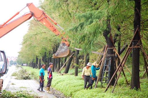 宜蘭民宿葛瑞絲羅東運動公園民宿