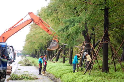 宜蘭民宿葛瑞絲羅東運動公園民宿