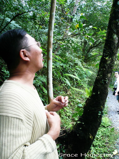 宜蘭旅遊~林美石磐步道