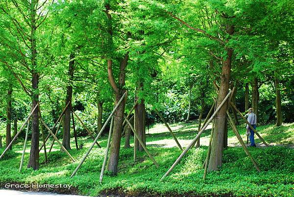 羅東運動公園民宿