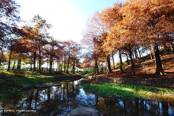 2010.宜蘭 羅東運動公園的冬陽~