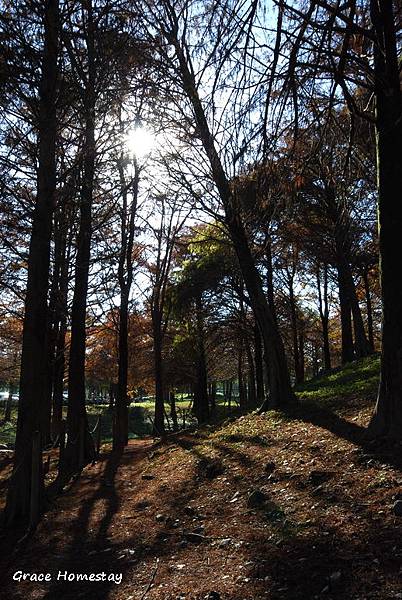 羅東運動公園2010.01