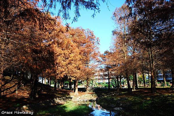 羅東運動公園2010.01