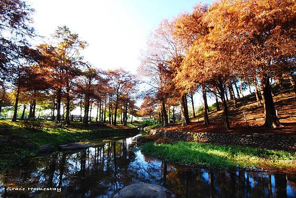 羅東運動公園2010.01