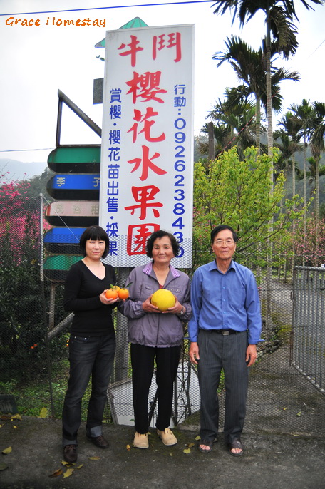 台七丙線山櫻花~在牛鬥盛開囉