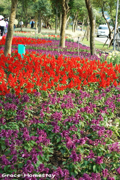 2010宜蘭綠色博覽會
